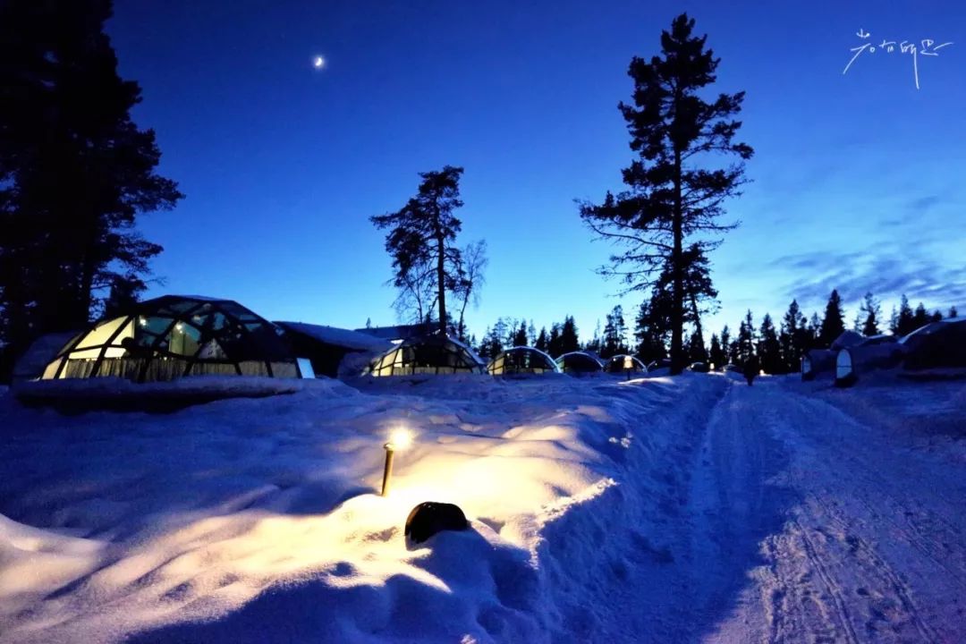 光遇欧若拉季新渴望的东西是什么,欧若拉最渴望的时候