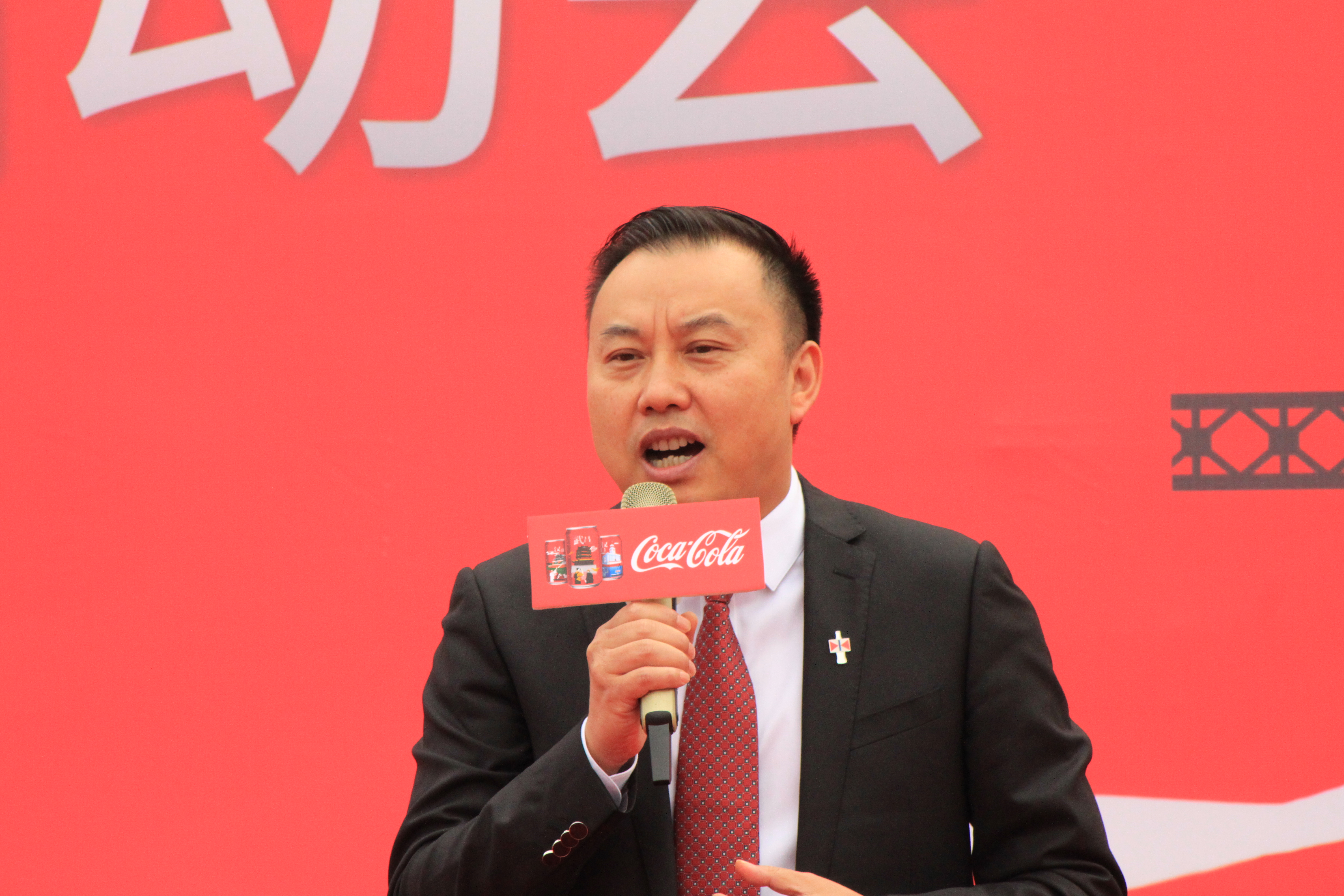 可口可乐武汉黑鸭24罐330毫升,可口可乐武汉江夏