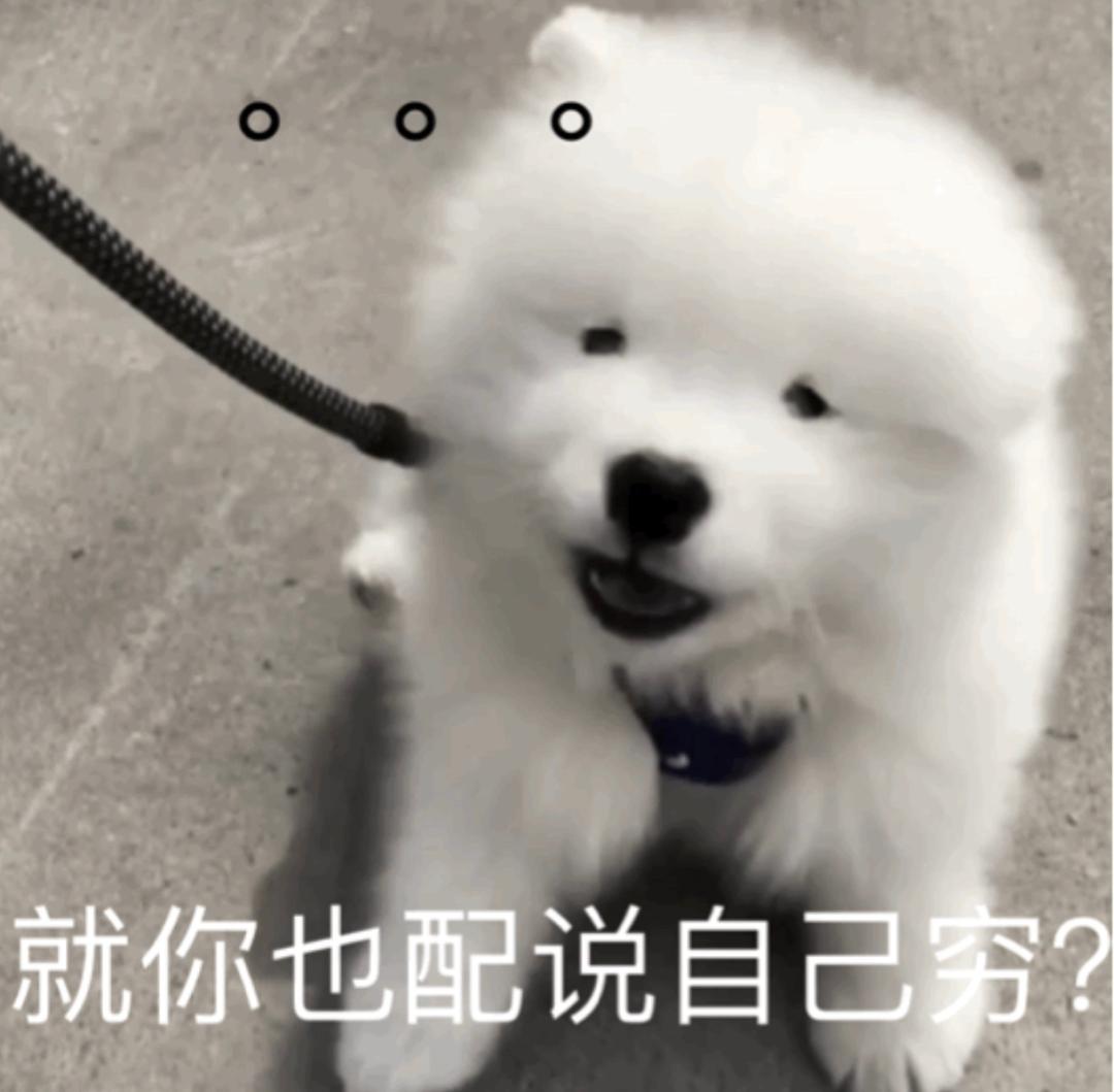 中国女孩,早就人手一件LV?