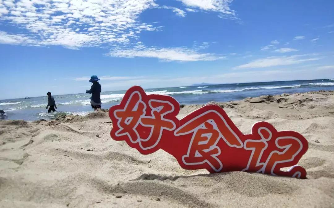 岘港有哪些越南特色美食餐馆推荐,岘港美食很好吃