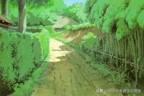 关于夏天的作文500字左右六年级,描写夏天的好词好句好段初中生