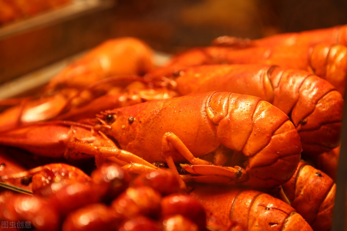 武汉真的是一个特别美的城市,大武汉风景美