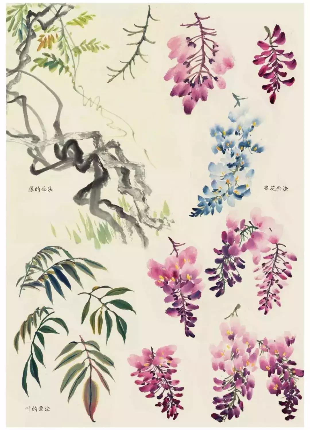 国画中各种花卉的画法,国画花卉画法步骤视频教程