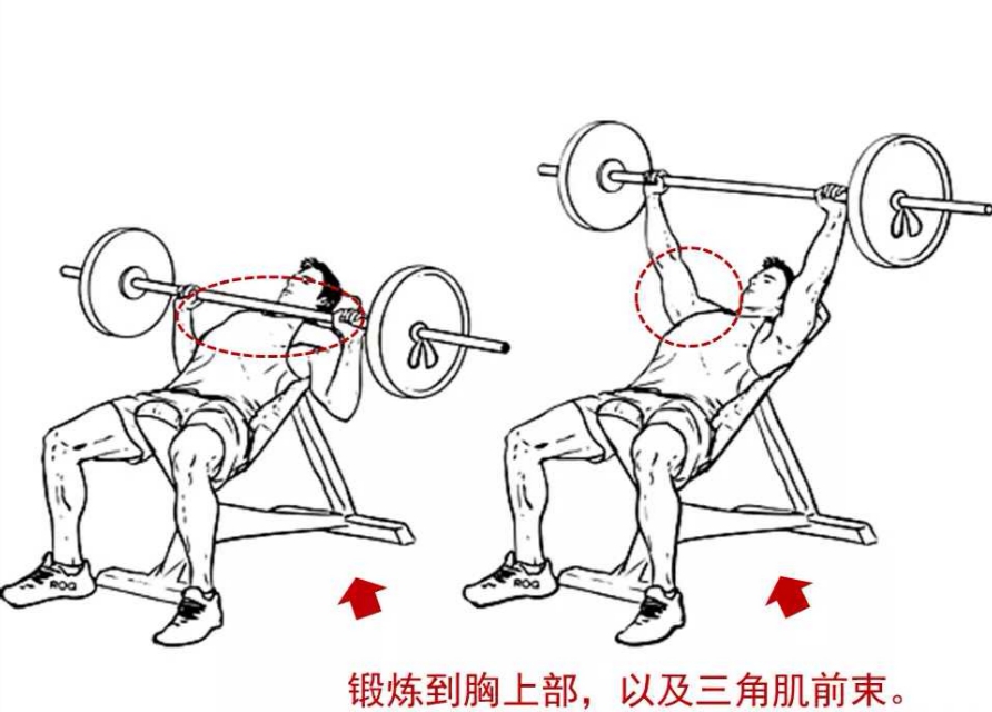 怎么样胸练到位了,如何练好胸型