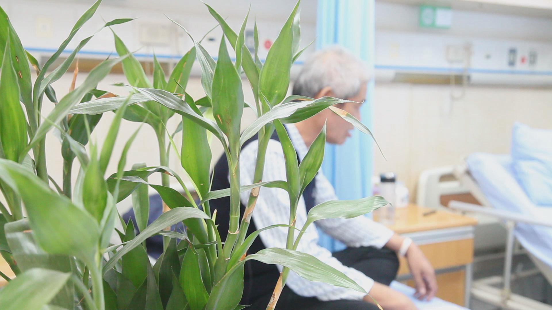 食道癌最好的老中医,食道癌西医治疗好还是中医治疗好