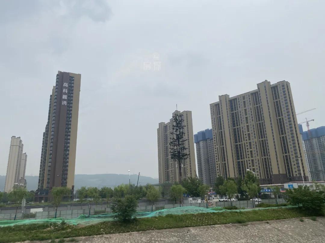 雁鸣湖板块房子明年走势咋样,暴走实探