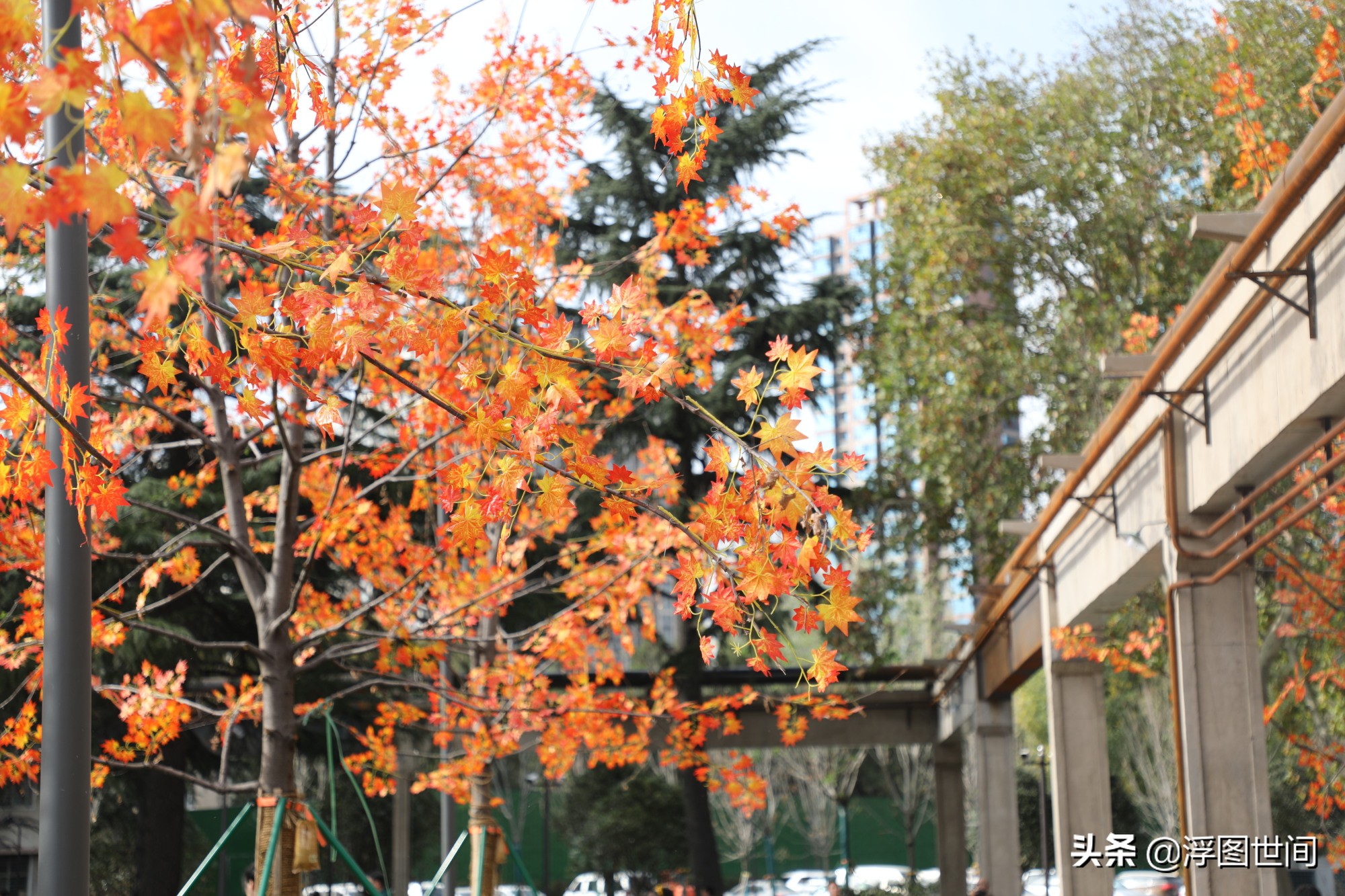 植物假树叶,人造树叶诞生