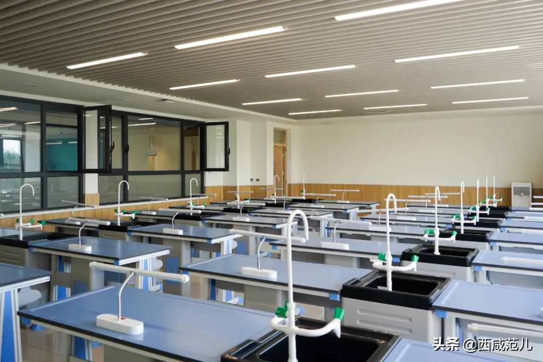 喜讯|新增学位14760个！沣西、能金区共10所新建学校，全部投运