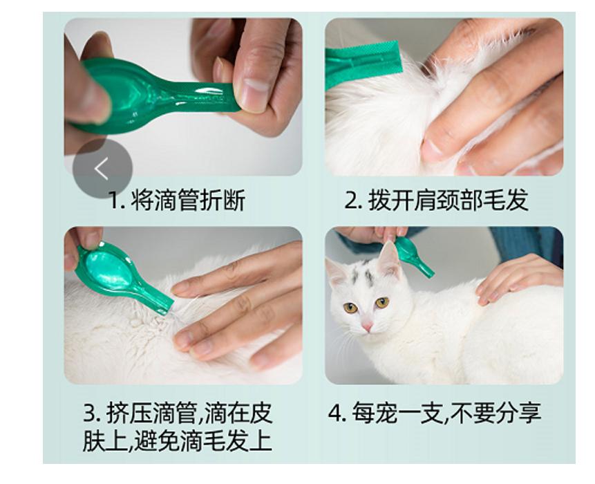先洗澡还是先驱虫？为什么用了驱虫药还被虫咬？宠物医师给你答案