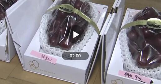 天价葡萄,天价青印葡萄