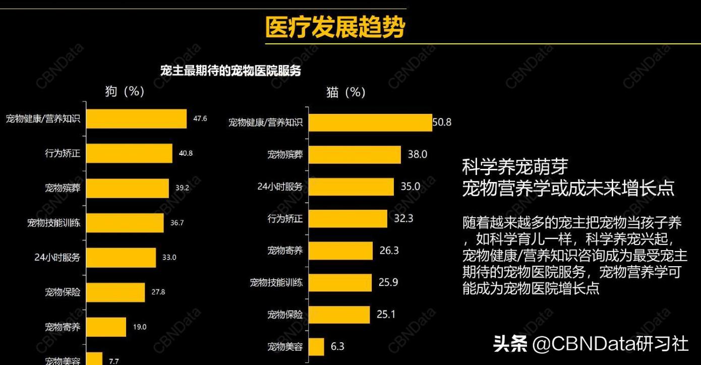 宠物殡葬真实收入,宠物殡葬火化多少钱