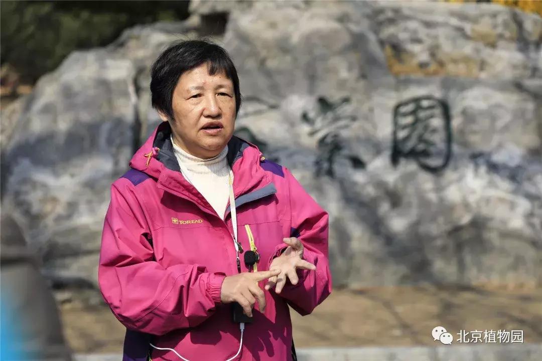 中国科学院植物研究所北京植物园,北京植物园有牡丹花还有什么花