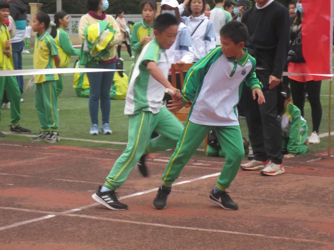 龙腾虎跃展英姿,龙腾虎跃展宏图