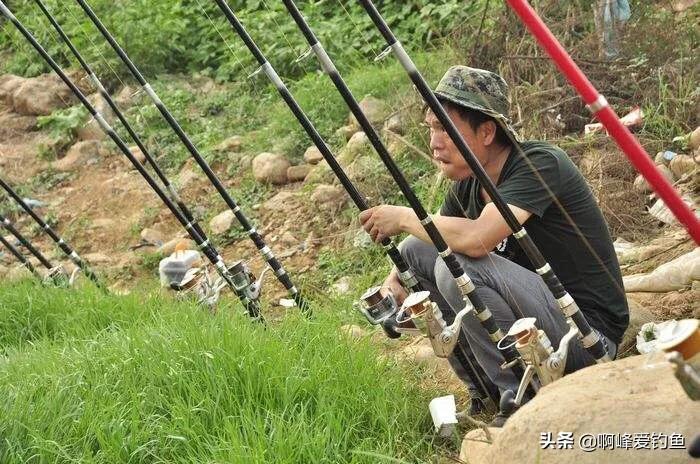 为什么钓鱼人讨厌鲶鱼,解锁鲶鱼钓鱼的乐趣只有钓鱼人懂