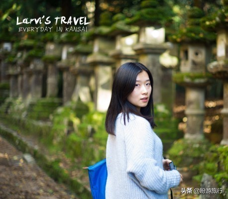 散步关西の日本深度自由行大阪都门奈良城崎、白滨温泉（上篇）