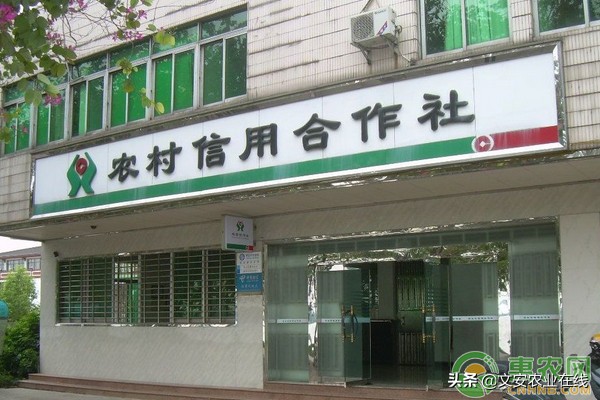 在农村创业，这四种*款贷**能享受“免息”优惠政策！