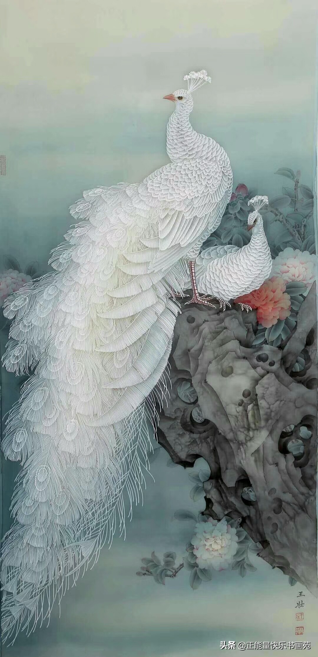 孔雀工笔画入门教程步骤图,白孔雀工笔画图片大全大图