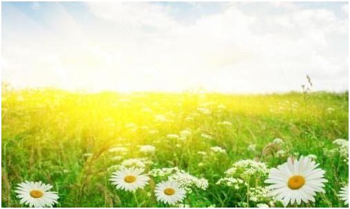 想知道你们是怎么追求对象的,想知道你们是怎么谈恋爱的