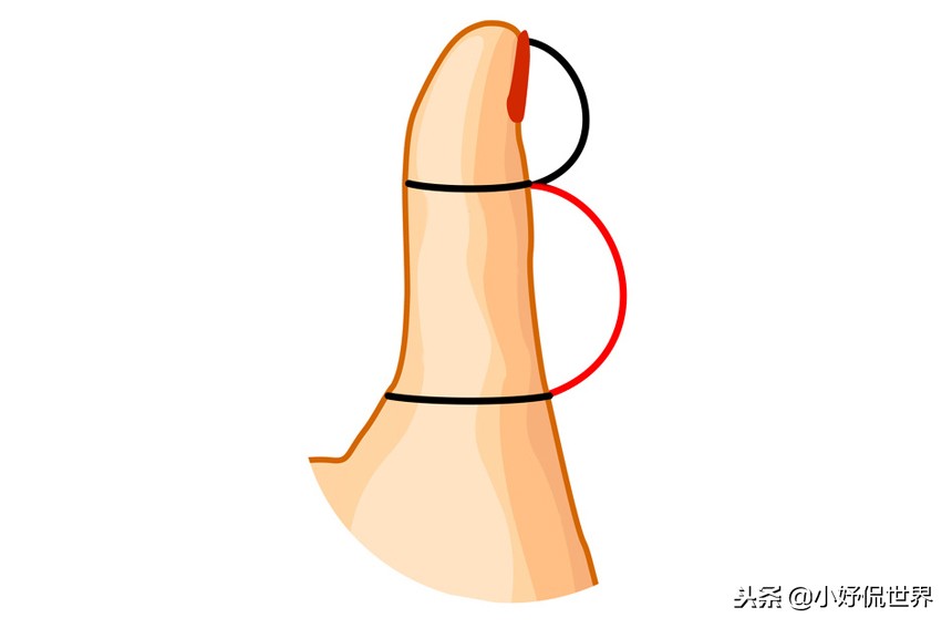 5种指型图,不同大拇指的形状代表什么