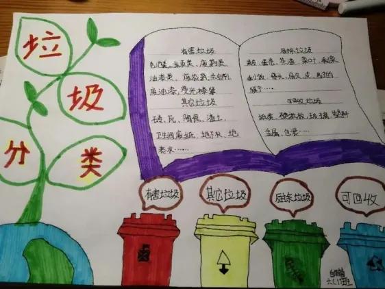 小学垃圾分类公益,阳光小学开展垃圾分类