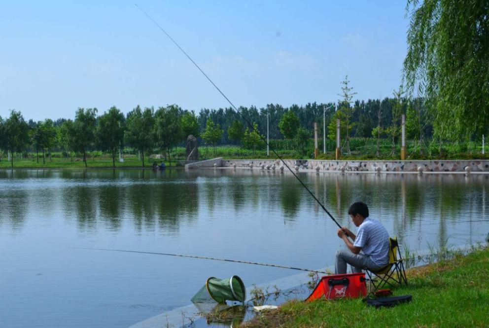 新手如何钓更多的鱼,新手怎么才能钓出好鱼