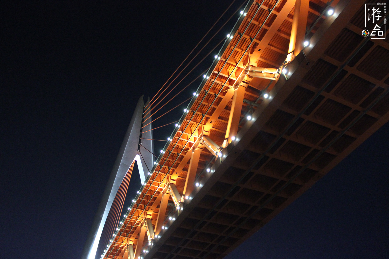 重庆两江游游客,重庆外地游客对比本地土著