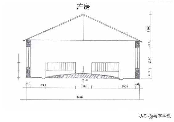 20头母猪猪舍设计图,20头母猪栏设计图