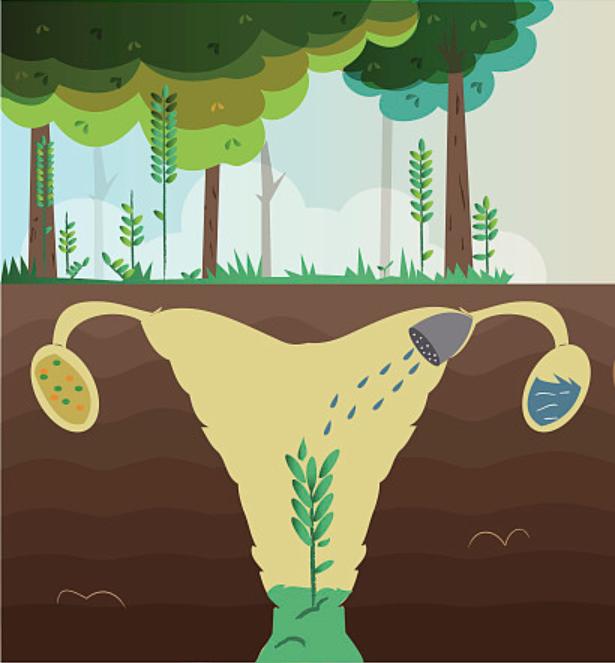 女性更年期忍一忍就过了,更年期的症状不管它能自愈吗