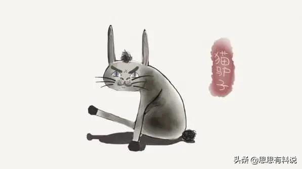 东北现在还有倒骑驴吗,东北倒骑驴是怎么回事