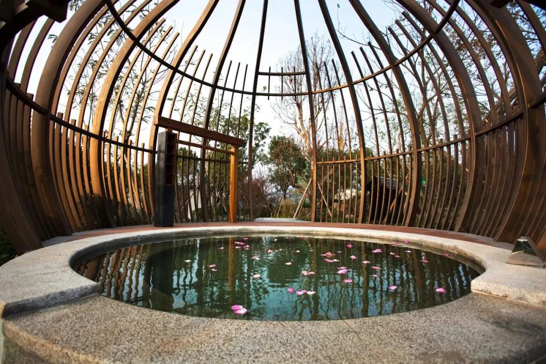 占地9200亩,光配套就7700亩!深圳东这个超级神盘,才配叫生活