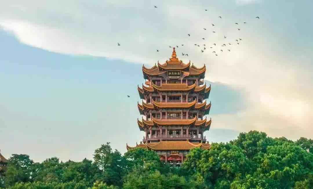 钱币收藏价值梅花五角钱,钱币收藏菊花一元2000年