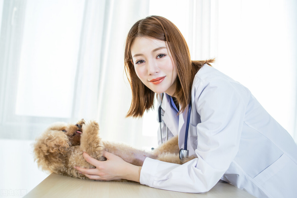 宠物犬疥螨怎么治疗,宠物狗皮肤红疹