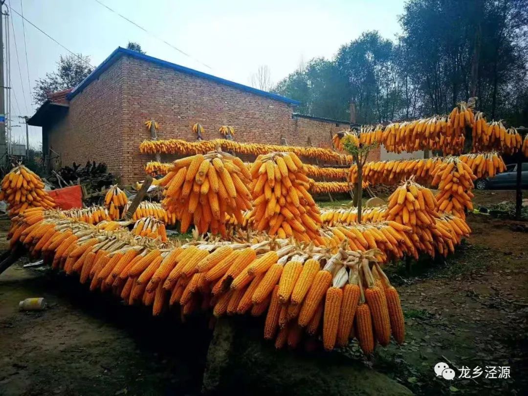 泾源秋天美景图片,泾源最美景色