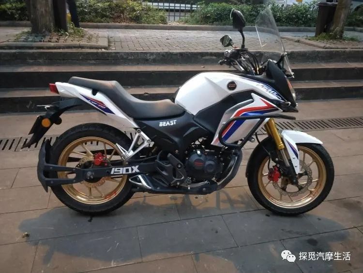 一次勇敢的尝试600个字,幼狮500跟幼狮800买哪个合适