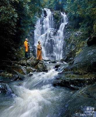 情爱禅语,佛家经典禅语