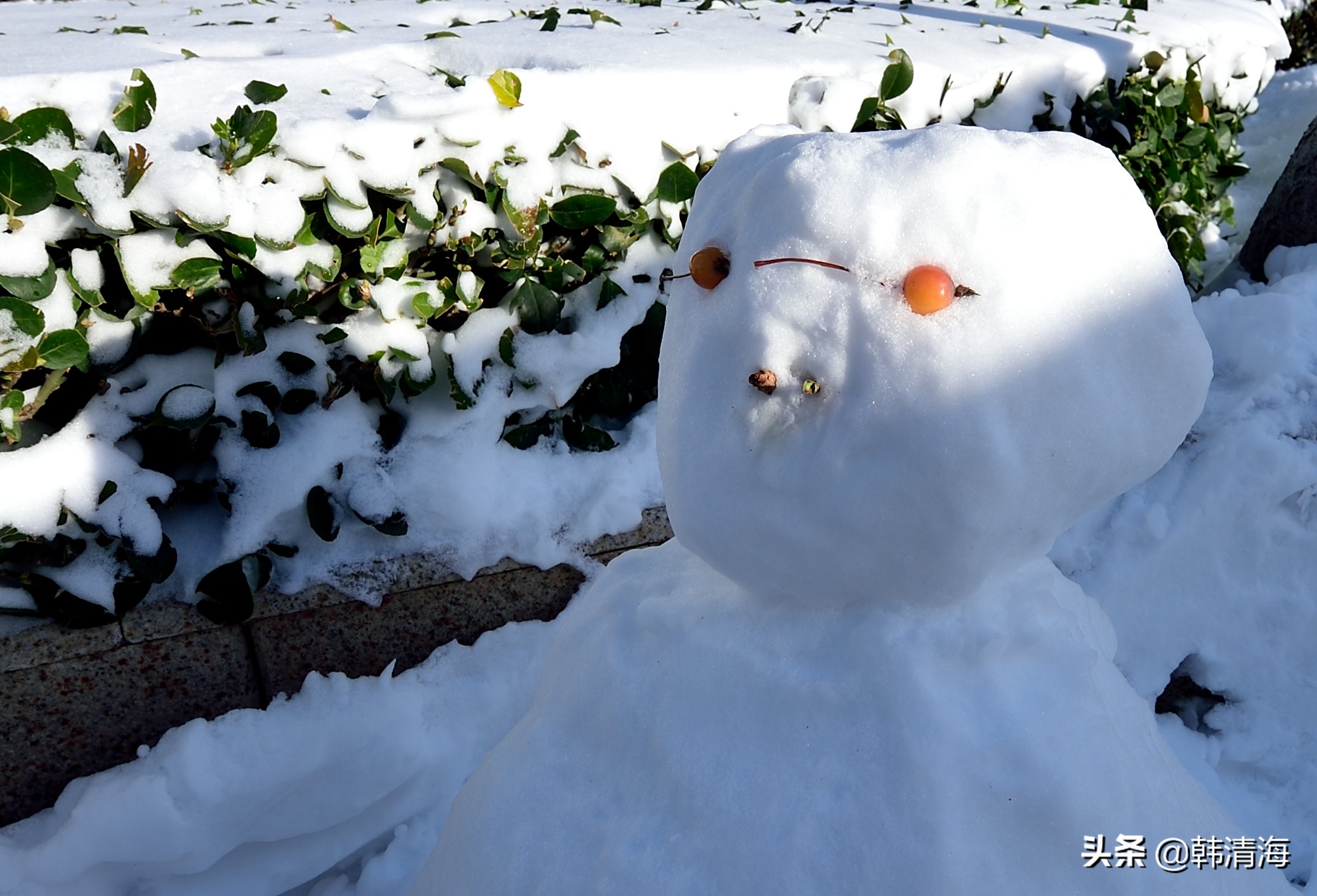 天津2022年雪景,天津第一场雪的美景