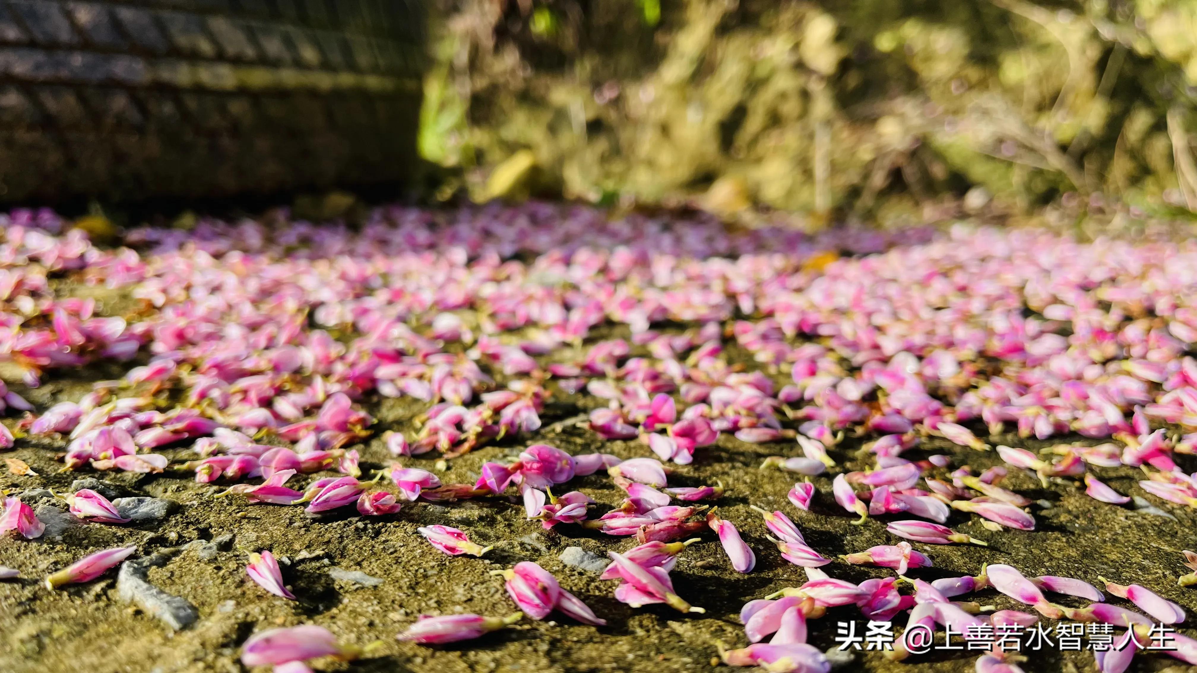 福州湖顶山观景平台风景,湖顶山观景台福州又一处登山美景
