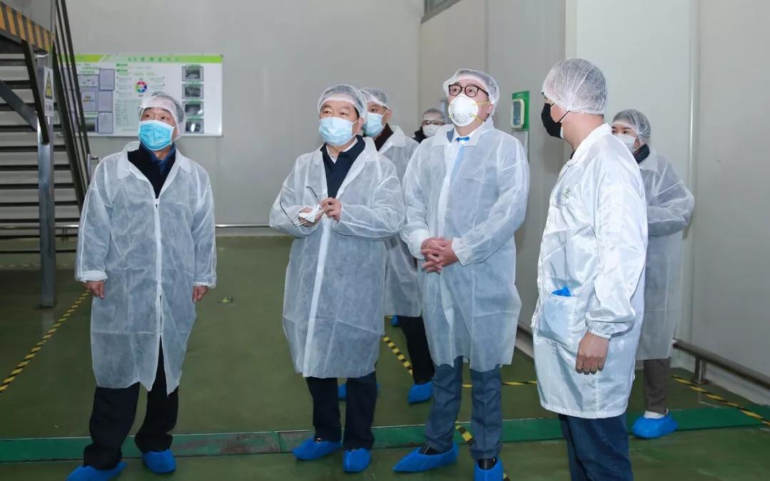 浦荣皋一行走访绿叶指导疫情防控工作