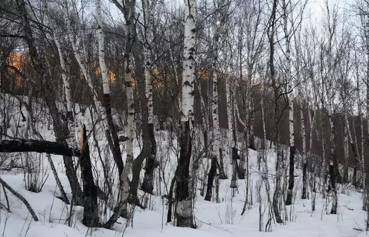 民国连环杀人案农村,山村血案真相纪实完整版