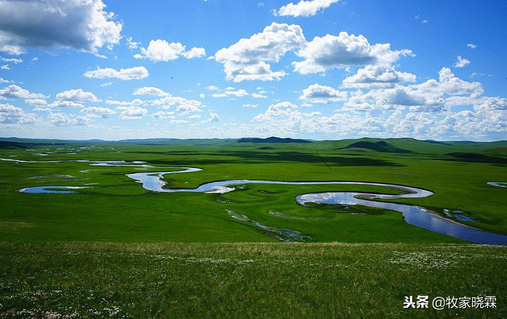 网上卖的内蒙牛肉为啥便宜,网购内蒙牛肉为什么那么便宜