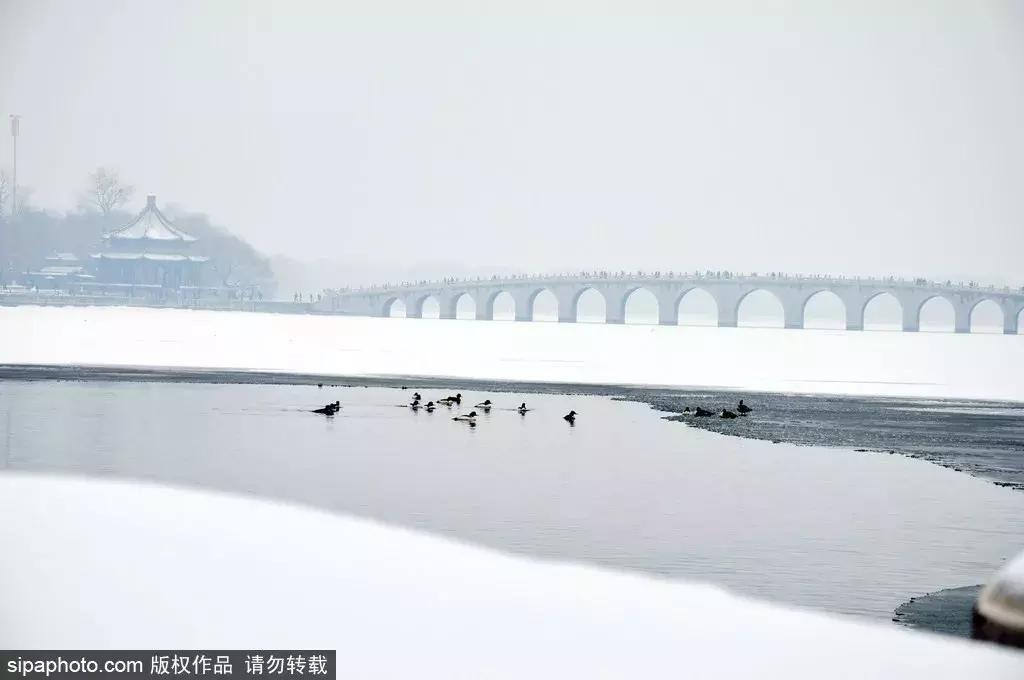 北京看雪最美的地方推荐,北京玩雪的地方2022