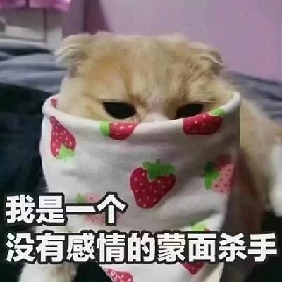 各种干扰不想学习？几种方法让你高度自律、高效学习！