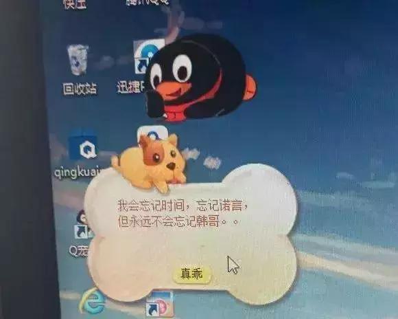 陪伴我13年的QQ宠物，永久下线了，那个小朋友，再见....