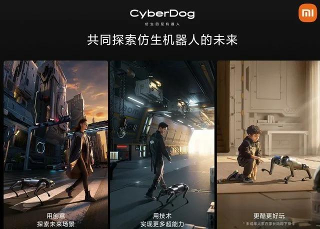 小米的铁蛋哪里买,小米铁蛋系列