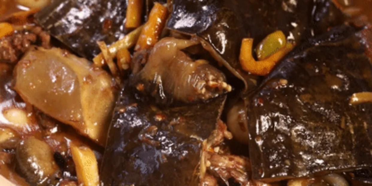 湖南硬菜——红烧甲鱼，家常做法滋补佳品