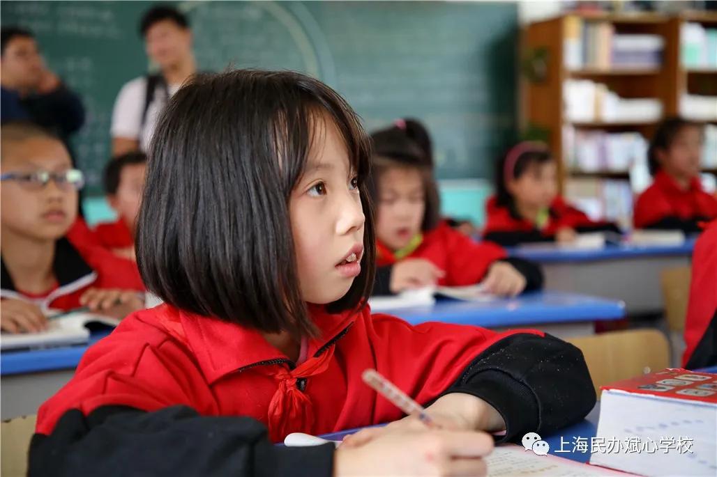 【扩散】一张一驰，文武斌心——民办斌心学校2020招生公告