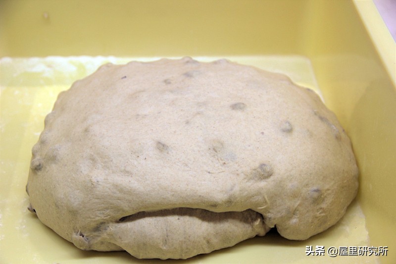 电烤箱做欧包,推荐一款适合做欧包的烤箱