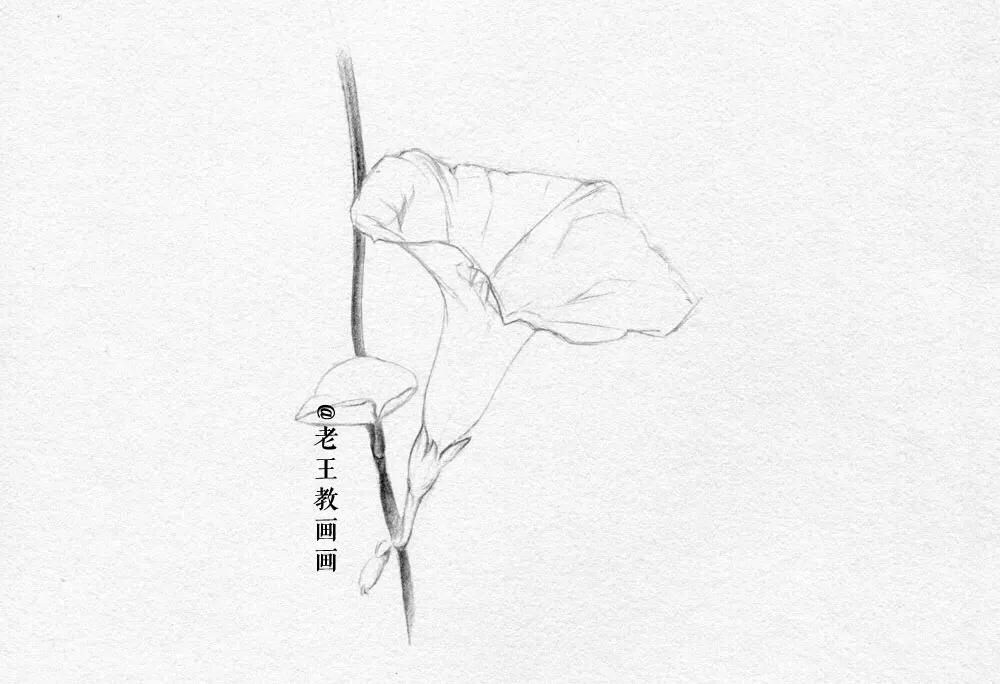 小白学习素描需要准备什么,小白学素描入门教程