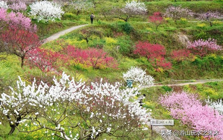 永川吃喝攻略旅游景点,永川旅游攻略推荐