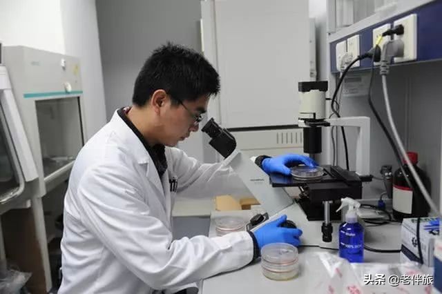 最新药品降价名单,多家药企中成药涨价